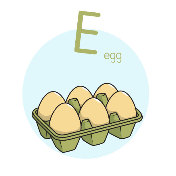 illustrations, cliparts, dessins animés et icônes de illustration vectorielle de l’œuf avec la lettre de l’alphabet e lettre majuscule ou majuscule pour les enfants apprenant la pratique abc - protein isolated shell food