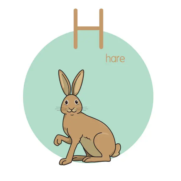 Vector illustration of Vector illustration of Hare with alphabet letter H Upper case or capital letter for children learning practice ABC