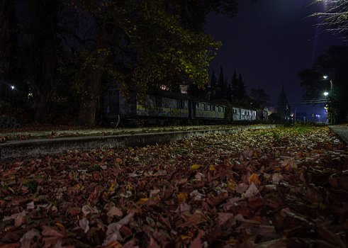 Railway station at night. It's the reailway station of the company OSE, in the town of Edessa in Greece. It's on the autumn and the colors looks perfect in the night.
