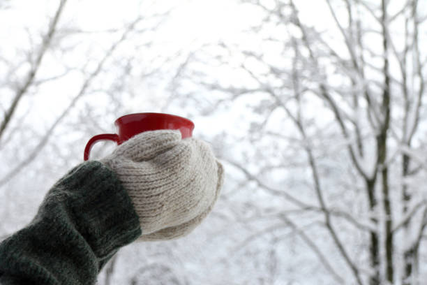warming drink on a winter walk red mug in the hands of those dressed in knitted mittens and a sweater, against the backdrop of a winter landscape in the park Knitted Gloves stock pictures, royalty-free photos & images