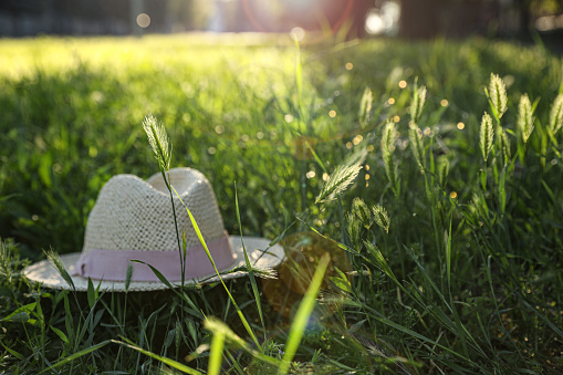 Straw hat in green meadow on sunny day