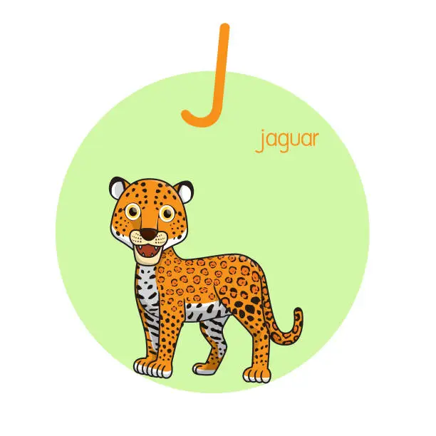 Vector illustration of Vector illustration of Jaguar with alphabet letter J Upper case or capital letter for children learning practice ABC