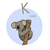 istock Vector illustration of Koala with alphabet letter K Upper case or capital letter for children learning practice ABC 1353974216