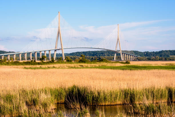 Bridge and road. This is the famous Pont de Normandie (Normandy Bridge), France. This is a cable-stayed bridge spanning the Seine river. It connects Le Havre to Honfleur in Normandy, Northern France.