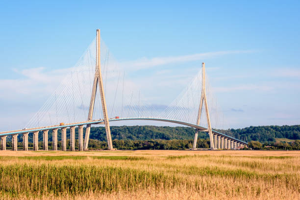 Dutch motorway bridge on a blue sky day