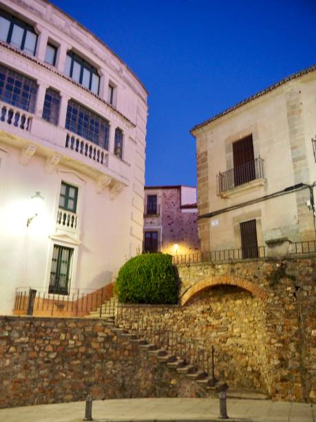 istock Streets of Caceres by night 1353976024