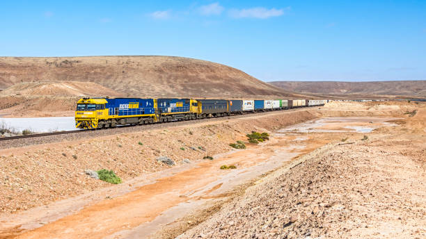 pacific national interstate cargo container güterzug im abgelegenen outback südaustralien - land vehicle rail freight locomotive australia stock-fotos und bilder