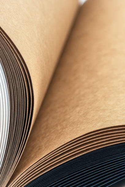 istock Edges of open book with blank pages 1353976194