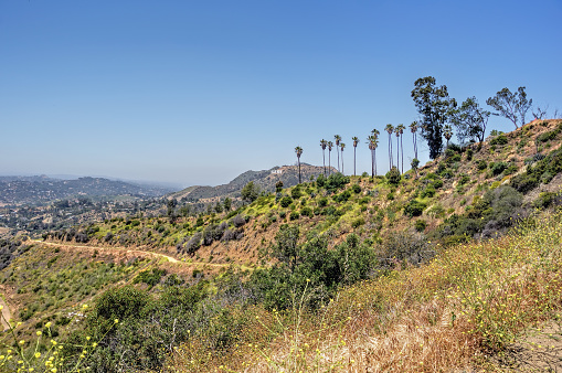 The view of Mount Hollywood from Griffith Park trails, Hollywood, California.