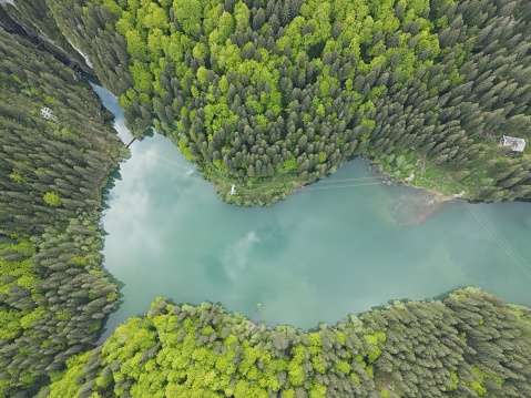 Aerial view of a lake in the middle of a mountain forest