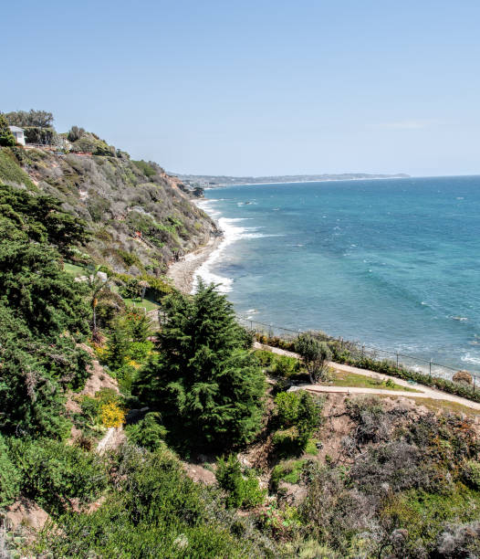 istock Pescador Beach in Malibu 1353985810