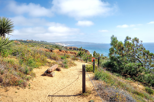 A view at Torrey Pines Park on the Guy Fleming loop trail in Torrey Pines State Preserve, California.