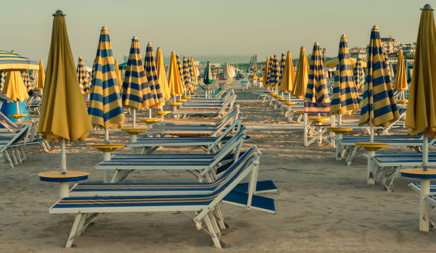 istock Sun loungers and umbrellas on the beach 1353986759