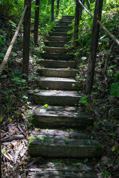 istock Wooden stairs 1353987814