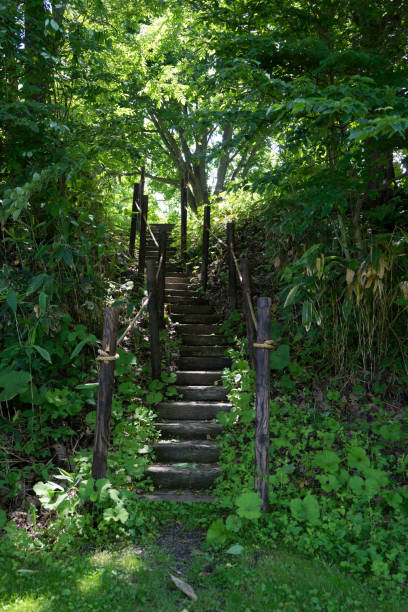 istock Wooden stairs 1353987845