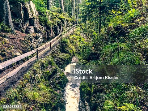 istock A small stony river with waterfalls in the Black Forest. 1353987882