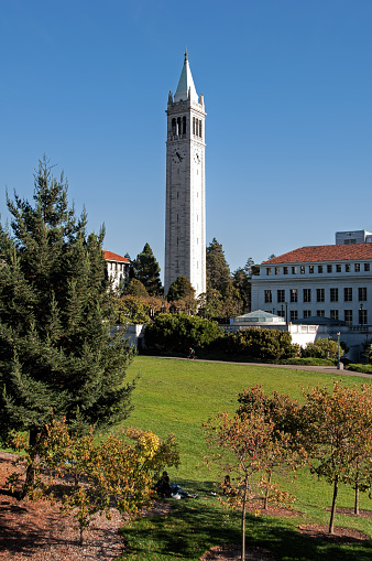 A clear day in the fall at the University of California campus in Berkeley, California. A relaxing Saturday afternoon at the Memorial Glade.