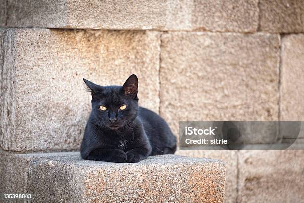 Foto de Lindo Gato Preto Na Grécia e mais fotos de stock de Cor Preta - Cor Preta, Destino turístico, Europa - Locais geográficos