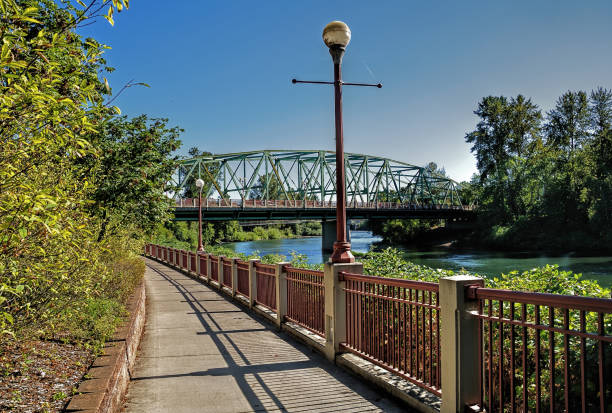 Ferry Street Bridge in Eugene A view of the Ferry Street Bridge from the river trails in late summer, Eugene, Oregon. eugene oregon stock pictures, royalty-free photos & images