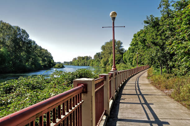 River Trails in Eugene The biking and walking trail by the Willamette River in Eugene, Oregon. eugene oregon stock pictures, royalty-free photos & images