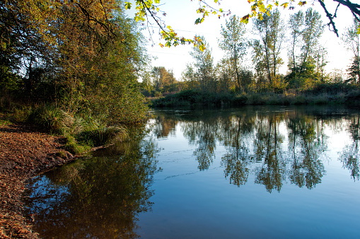 The banks of the Willametter River in the early Fall at Howard Buford County Park (aka Mt. Pisgah Arboretum), outside Eugene, Oregon.