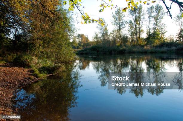 Rural Willamette River Stock Photo - Download Image Now - Arboretum, Autumn, Beauty