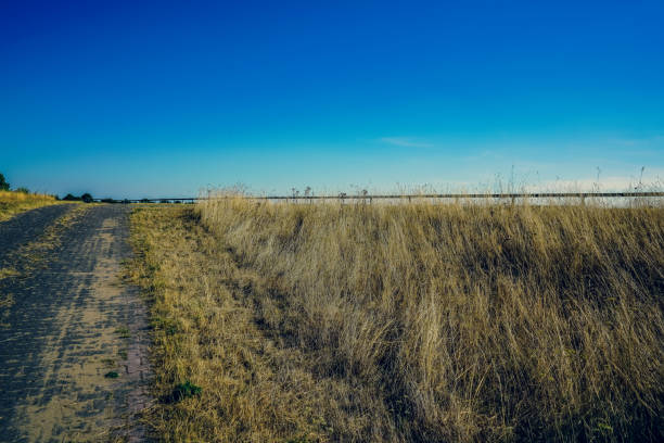 A very dry field in summer.