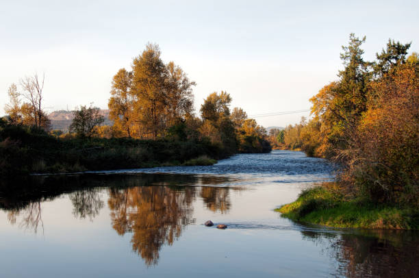 Rural Willamette River The banks of the Willametter River in the early Fall at Howard Buford County Park (aka Mt. Pisgah Arboretum), outside Eugene, Oregon. eugene oregon stock pictures, royalty-free photos & images