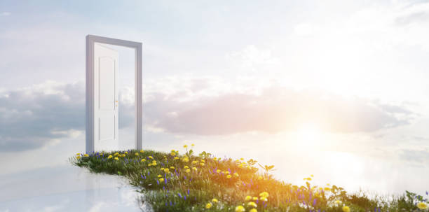 istock Green grass way to open door on sunny sky. 1353990808