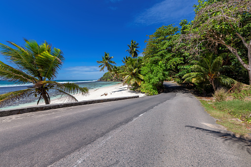 Tropical sandy beach highway with coconut palm trees in Seychelles island and turquoise sea. Summer vacation and  road trip concept