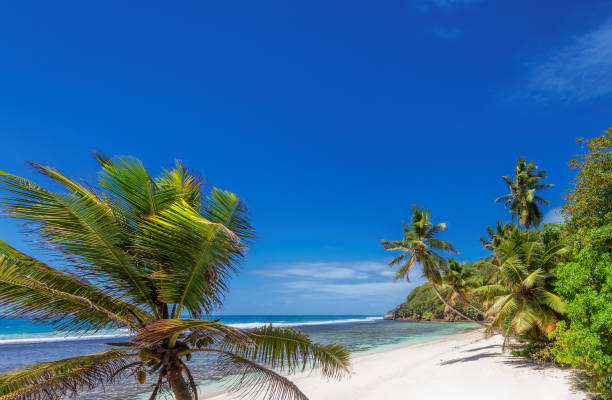 istock Tropical beach in Paradise island 1353990909