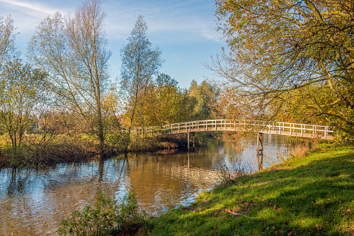 Simple wooden footbridge over a narrow river in a Dutch landscape. It is autumn and the leaves are starting to change color and are already falling from the trees to the ground.