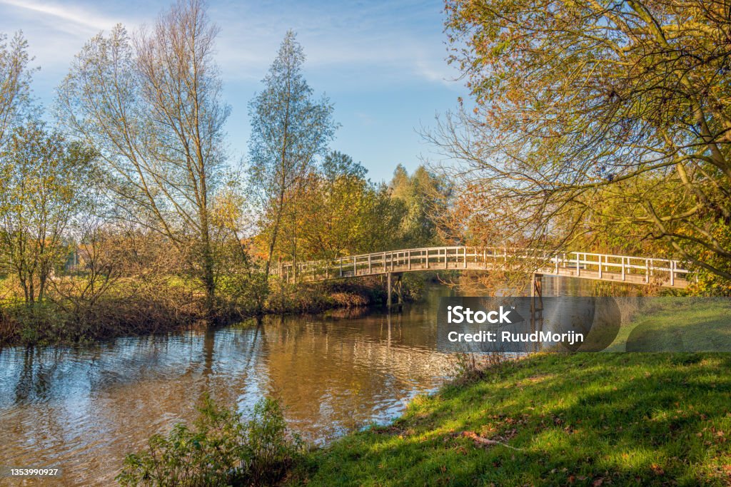 Wooden bridge in an autumnal landscape Simple wooden footbridge over a narrow river in a Dutch landscape. It is autumn and the leaves are starting to change color and are already falling from the trees to the ground. Footbridge Stock Photo