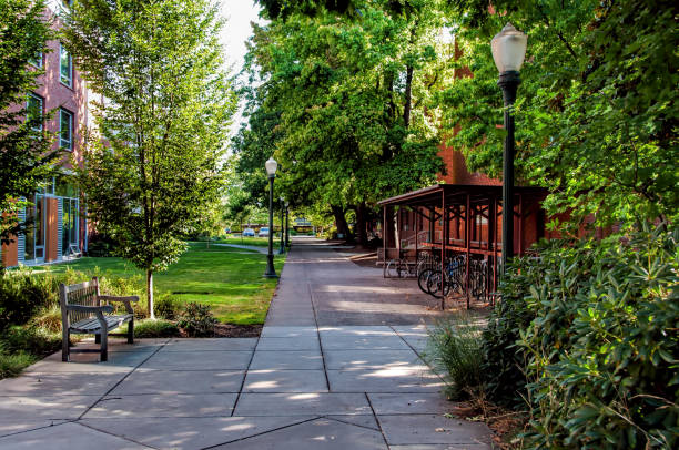 Tuscaloosa, Alabama, USA - March 26, 2014: The University of Alabama's quadrangle, known as The Quad, offers 22 acres of green space for student recreation and relaxation in Tuscaloosa, Alabama.