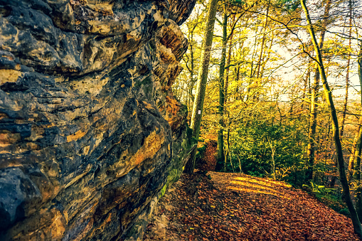 An autumn forest in germany with a stone wall.