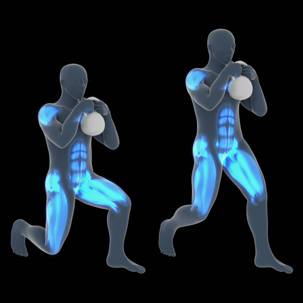 ilustracja 3d treningu statycznego lonży kettlebell globet - crouching exercising anatomy human muscle zdjęcia i obrazy z banku zdjęć