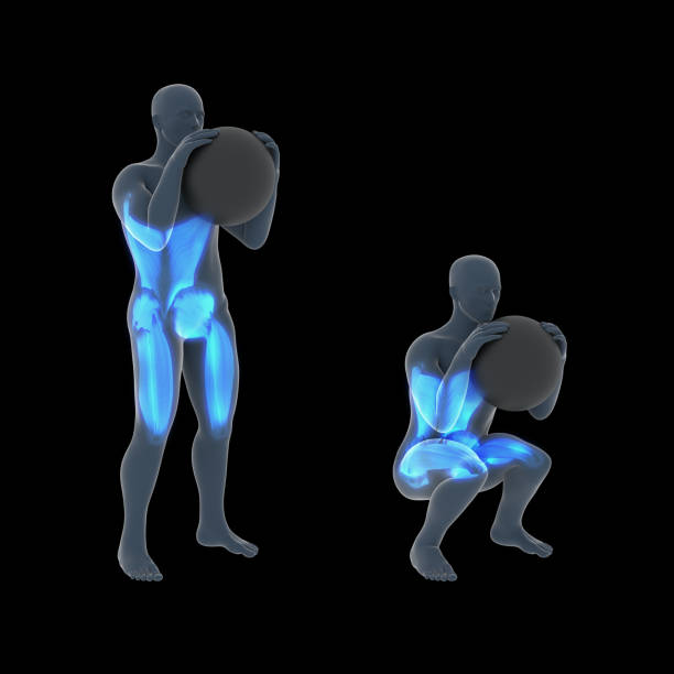 istock 3d Illustration of Globet Squat Wallball Workout 1353992983