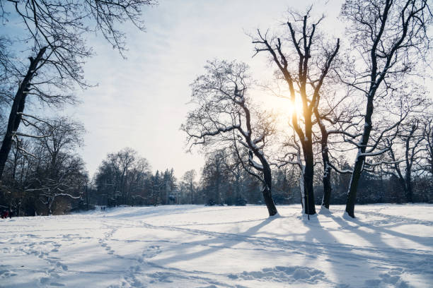winter, sunset, snow, wide, Canada, Montreal, Quebec