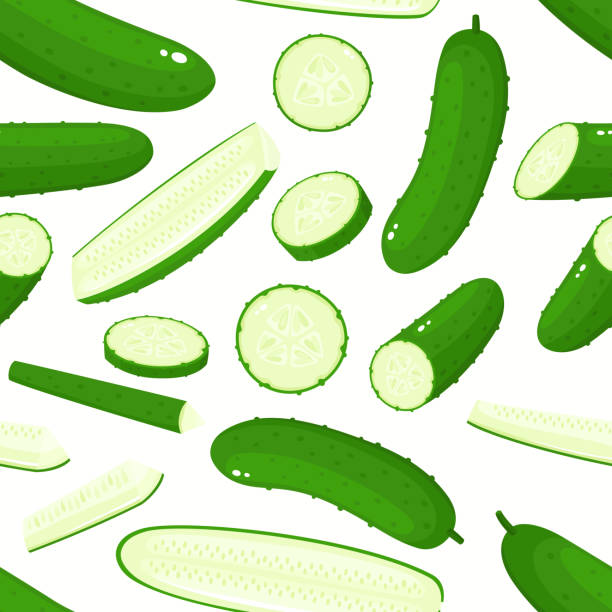 白で分離漫画キュウリとベクトルシームレスパターン。 - restaurant backgrounds cucumber dieting点のイラスト素材／クリップアート素材／マンガ素材／アイコン素材