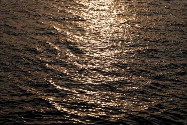 Waves of the sunset