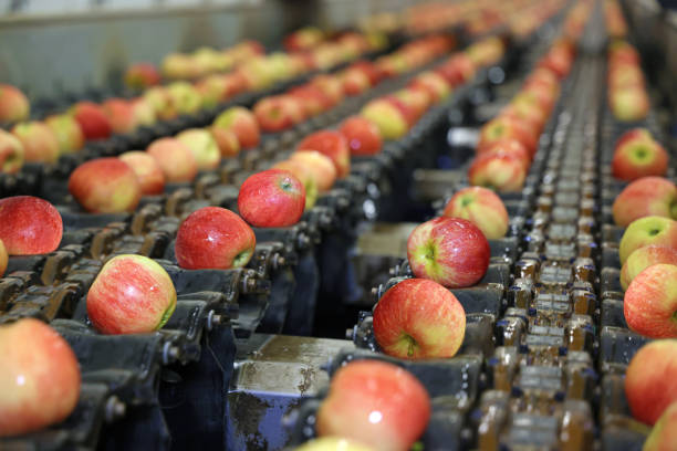 istock Clean fresh apples moving on conveyor 1353995744