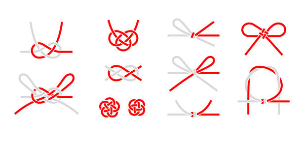 illustrations, cliparts, dessins animés et icônes de mizubiki - tied knot