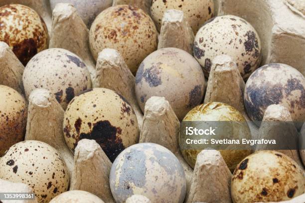 Food Background Of Quail Eggs Closeup Containing Vitamin A B Pp B12 Amino Acids Betacarotene Calcium Magnesium Iron Phosphorus Protein Choline Riboflavin Folic Acid Selenium Stock Photo - Download Image Now