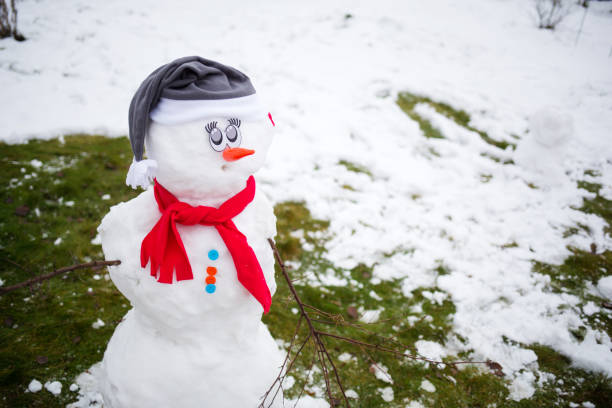 istock funny snowman on lawn made from first snow. winter fun. christmas background 1353999977