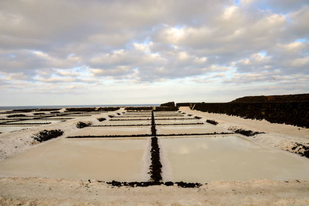 istock Salt Flats in the Canry islands 1354000999