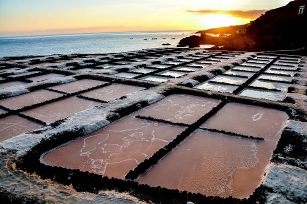 marais salants dans les îles canry - alb photos et images de collection