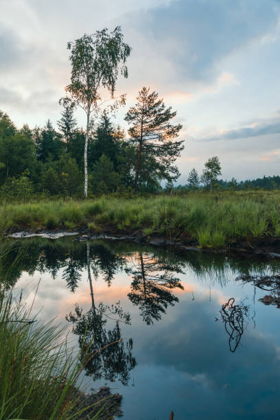 istock High moor at spectacular sunrise 1354004443