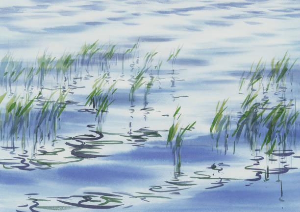 istock Water grass with reflections in the lake watercolor background 1354012454