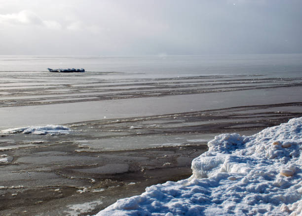 istock winter landscape by the sea 1354014193