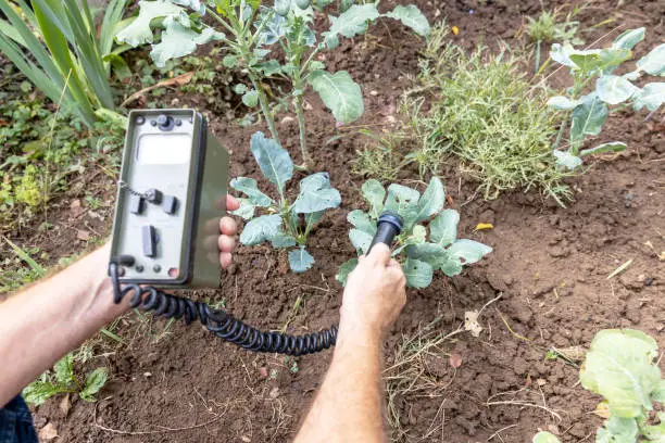 Photo of Measurement the natural radioactivity concentration levels in vegetables